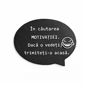 Magnet Frigider 3D - Motivație Pierdută